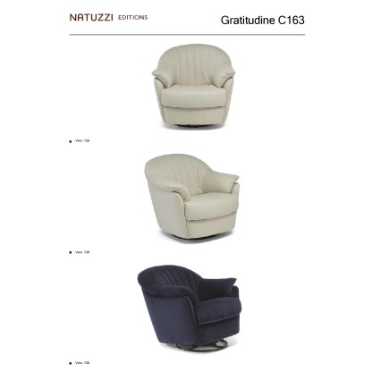 C163-66 SWIVEL GLIDER