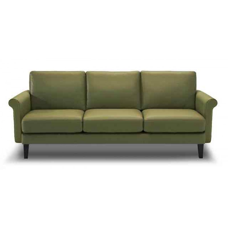 ROMAN STATIONARY SOFA LEATHER GROUP ROMAN STATIONARY SOFA LEATHER GROUP