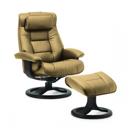 Fjords® Mustang  Fjords® Mustang